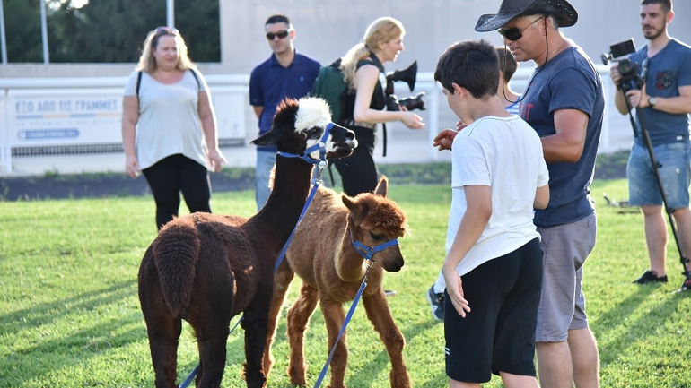 Βόλτες με πόνυ για τα παιδιά.