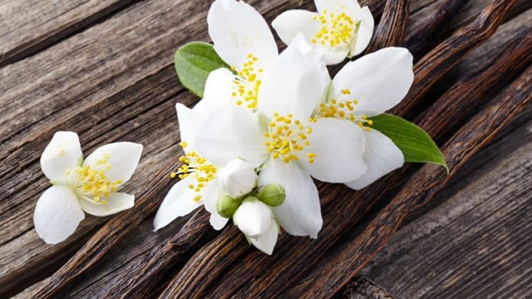 Η αρωματική βανίλια με τις θεραπευτικές ιδιότητες