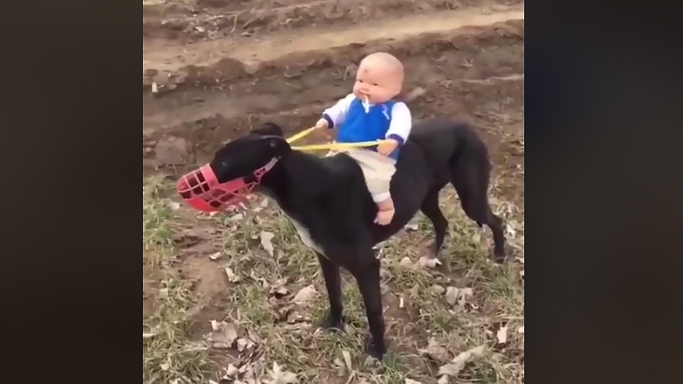 Ήχος δίχρονων κινητήρων: Το μυστικό για αστεία βίντεο