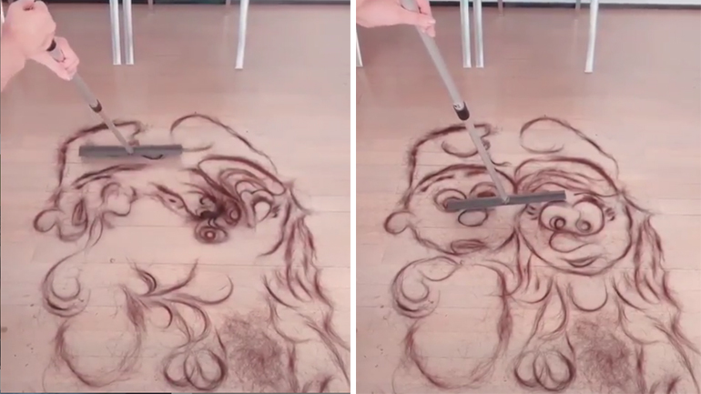 Σχέδιο από τρίχες