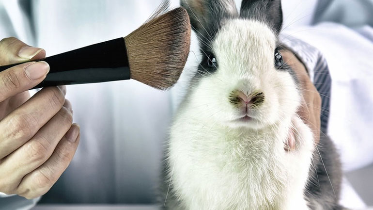 Be Cruelty Free: Η Estée Lauder μάχεται για να σταματήσει το cosmetics animal testing!