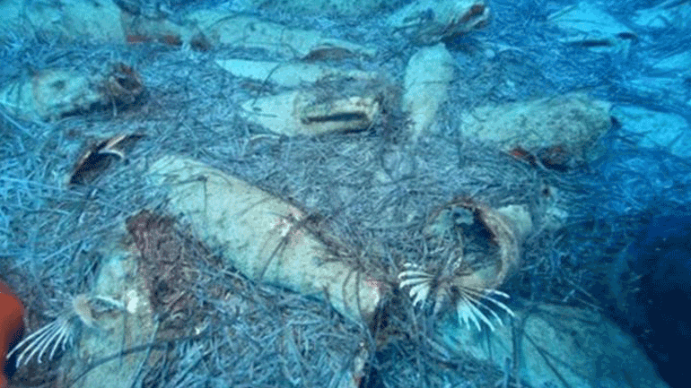 Αρχαίο ναυάγιο ανακαλύφθηκε στη θαλάσσια περιοχή Πρωταρά