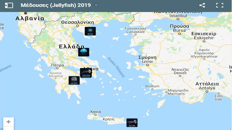 Συνεχίζεται και το 2019 η καταγραφή μεδουσών στις ελληνικές θάλασσες