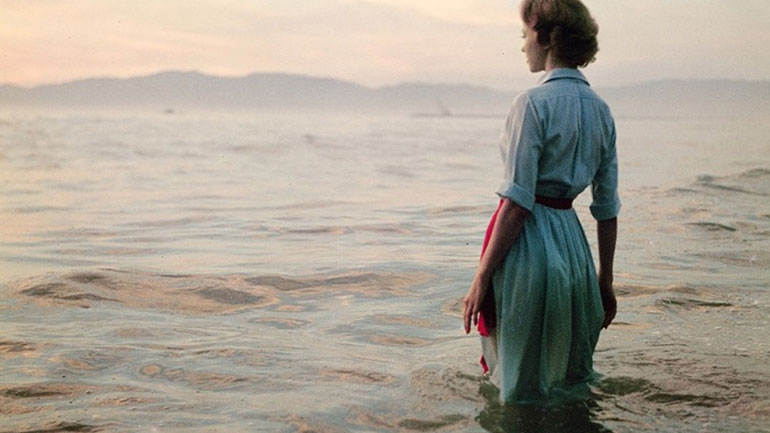 Πώς συμπεριφέρονται τα ζώδια όταν χρειάζονται βοήθεια