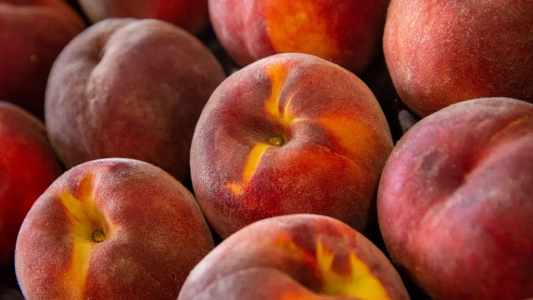 Δεσμεύτηκε μεγάλη ποσότητα ροδάκινων στου Ρέντη