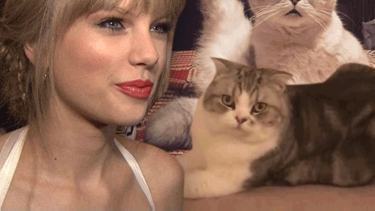 Η Τέιλορ Σουίφτ και η αγάπη της για τις γάτες