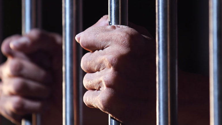 Βόλος: Δωδεκάμηνη φυλάκιση σε 55χρονο για κακοποίηση ζώου