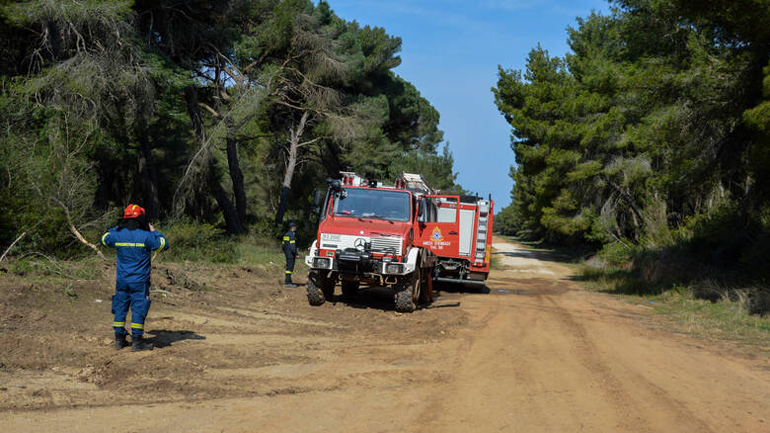 Καλάβρυτα: Πυρκαγιά σε δασική έκταση