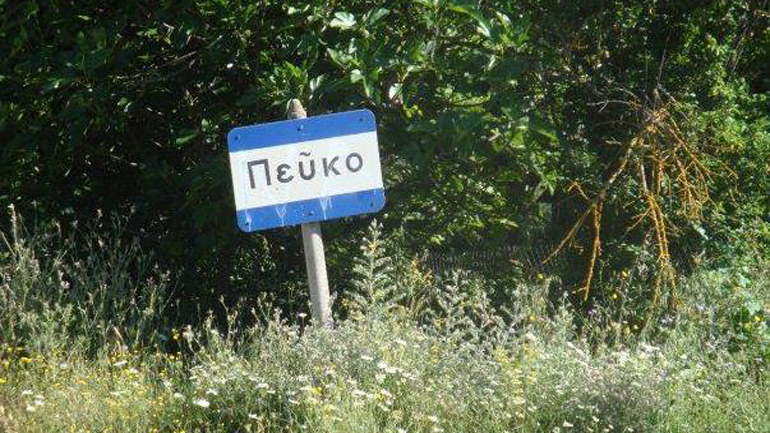 Καλάβρυτα: Δεν απειλείται από τη φωτιά το χωριό Πεύκο