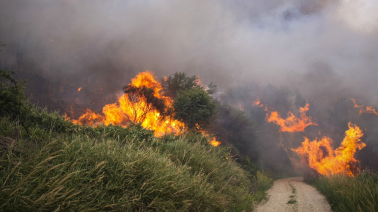 Κρήτη: Μεγάλη πυρκαγιά ξέσπασε κοντά στο Λαράνι