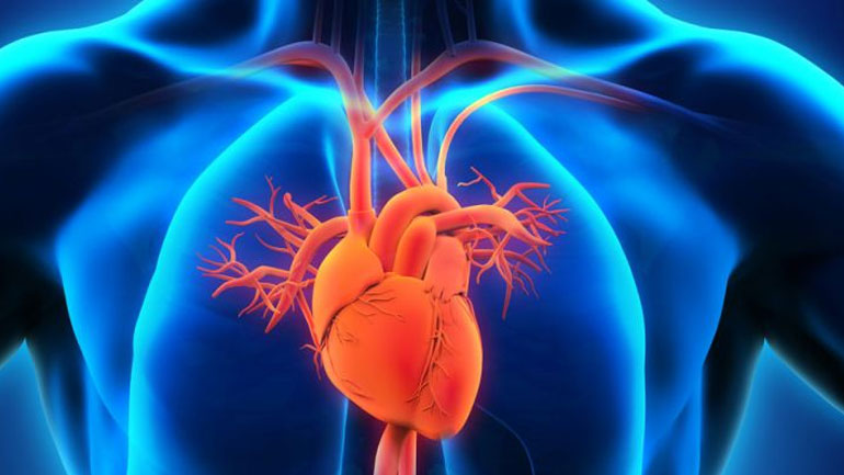 Η στυτική δυσλειτουργία ως παράγοντας κινδύνου των καρδιαγγειακών νοσημάτων