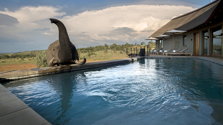Ελέφαντας αράζει με έναν άνδρα στην πισίνα