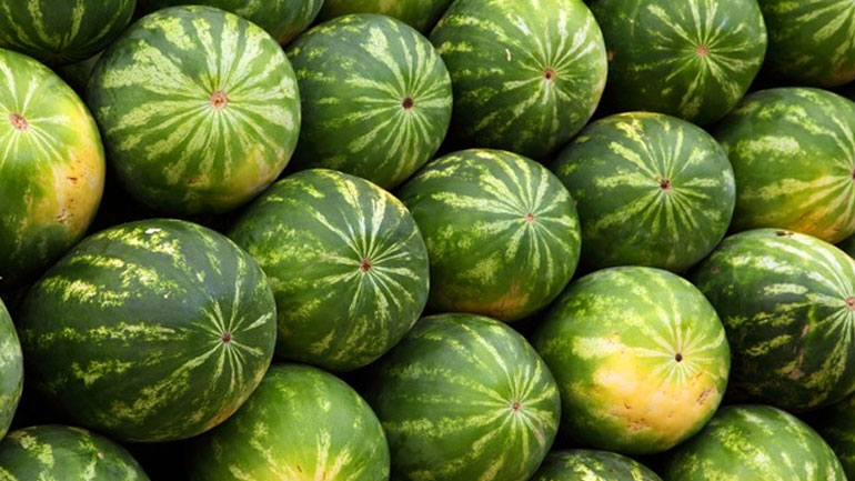 Δεσμεύτηκαν 24 τόνοι καρπούζια σε επιχείρηση στου Ρέντη