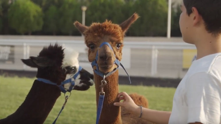 5+1 λόγοι για να πας στο Markopoulo Park