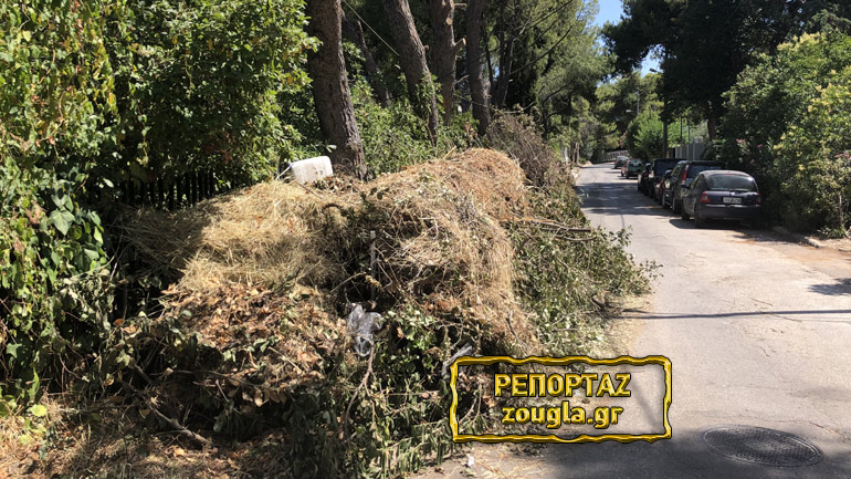 Λόφοι από ξερά χόρτα και κλαδιά απειλούν την Εκάλη Λόφοι από ξερά χόρτα και κλαδιά απειλούν την Εκάλη