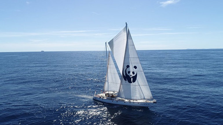 Το ιστιοπλοϊκό σκάφος WWF “Blue Panda” φτάνει στο Ιόνιο