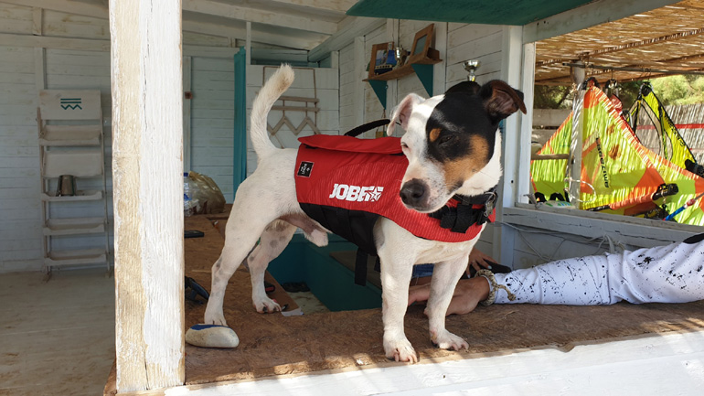 Είναι για φάγωμα το άτιμο!