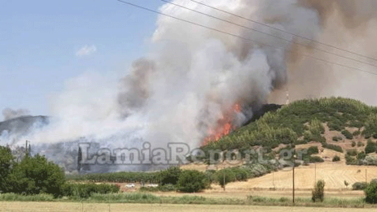 Μεγάλη πυρκαγιά σε δασική έκταση στη δυτική Φθιώτιδα – Εκκενώθηκαν προληπτικά αγροικίες