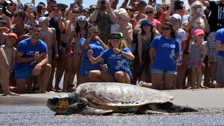 Απελευθερώθηκε σε ειδική εκδήλωση ο Wallace στην Κρήτη