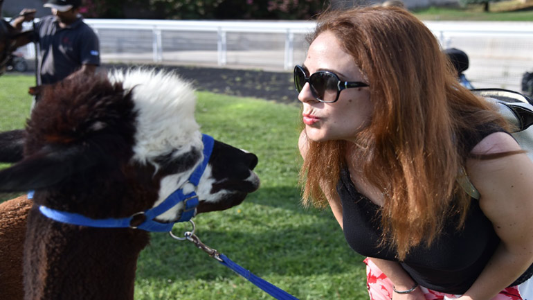 Markopoulo Park: Δύο κούρσες μαγνήτισαν το ενδιαφέρον