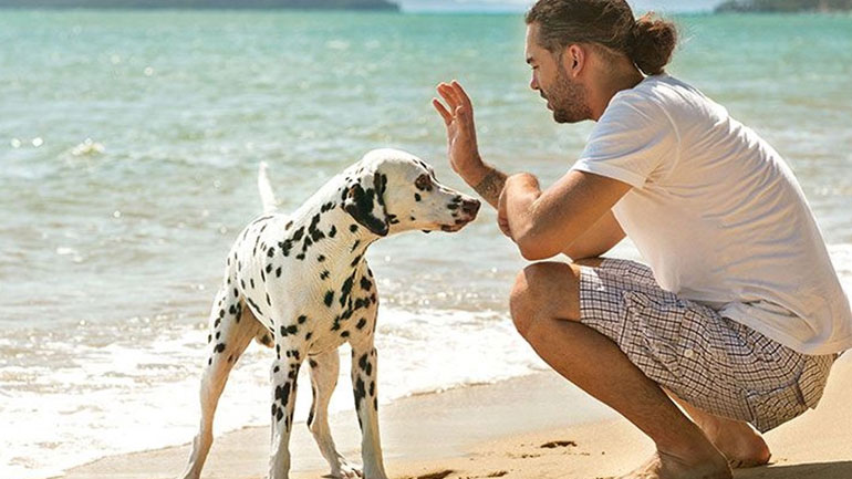 Πώς να συστήσεις το κατοικίδιό σου στον σύντροφό σου;
