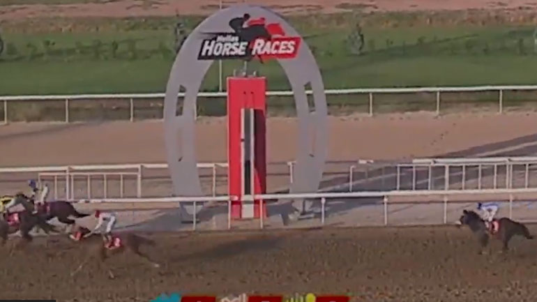 Μάθε 10 όρους του Ιπποδρόμου σε 10’’