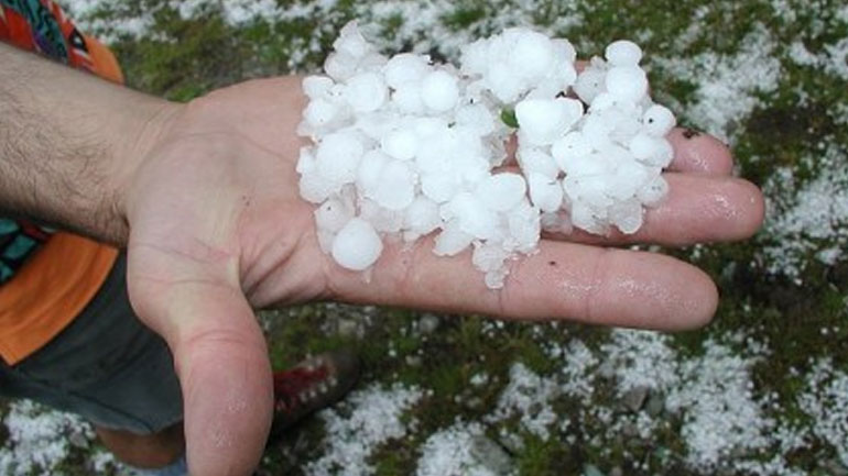 Ξεκινούν οι έλεγχοι από τον ΕΛΓΑ για τις ζημιές από το χαλάζι σε Ροδόπη, Πήλιο και Κορινθία