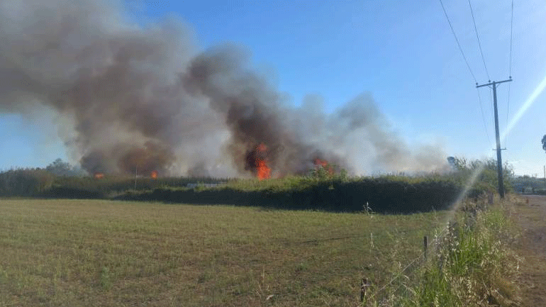 Καλαμάτα: Υπό έλεγχο η πυρκαγιά σε αγροτική έκταση κοντά στο αεροδρόμιο