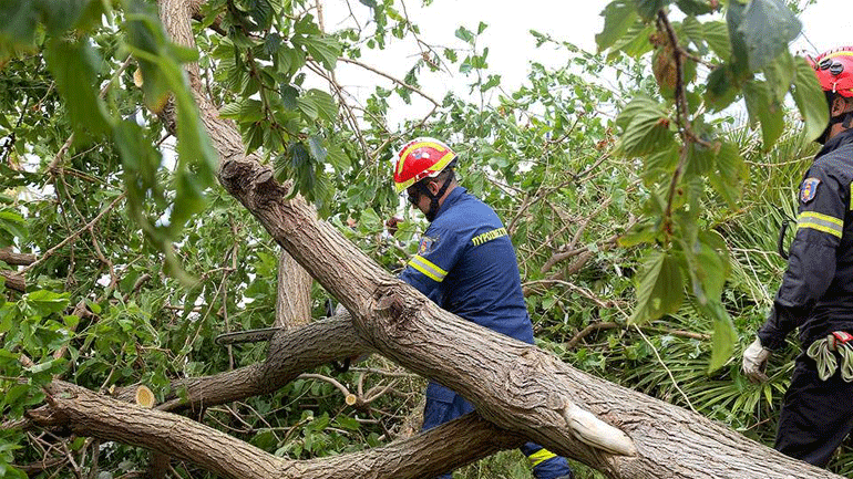 Περισσότερες από 1.200 κλήσεις έλαβε η Πυροσβεστική το τελευταίο 24ωρο