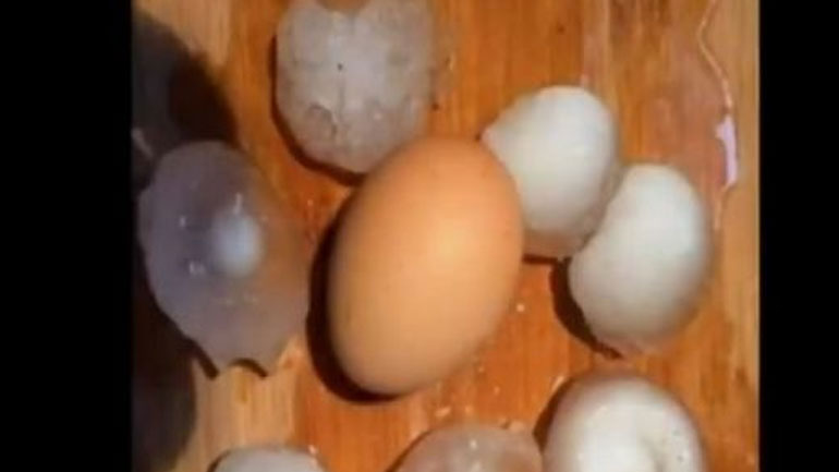 Απίστευτο: Χαλάζι σε μέγεθος αβγού στη Φλώρινα Απίστευτο: Χαλάζι σε μέγεθος αβγού στη Φλώρινα