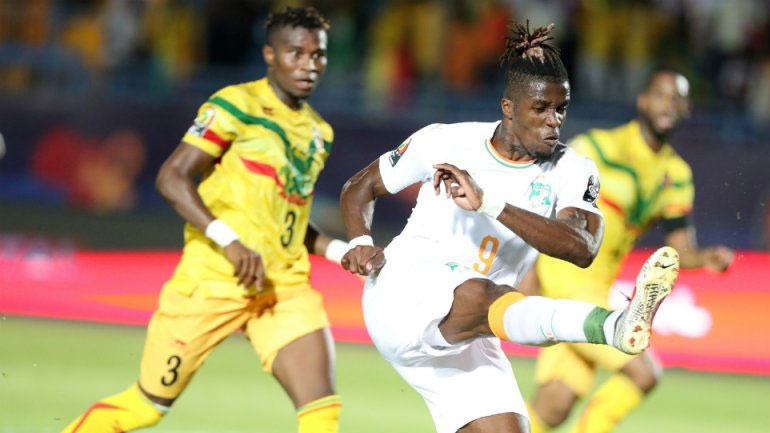 Ελέφαντες και αλεπούδες σε αγώνα χωρίς αύριο 