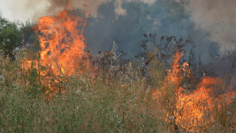 Τρία πύρινα μέτωπα καίνε δασικές εκτάσεις στην Εύβοια
