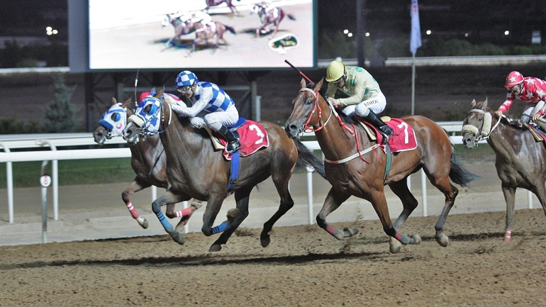 Markopoulo Park: Συναρπαστικό θέαμα και διασκέδαση για όλη την οικογένεια