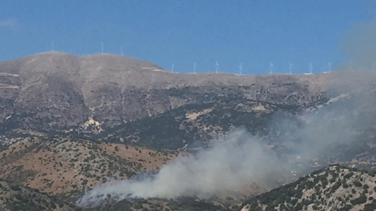 Κεφαλονιά: Φωτιά σε αγροτοδασική έκταση στα Προκοπάτα
