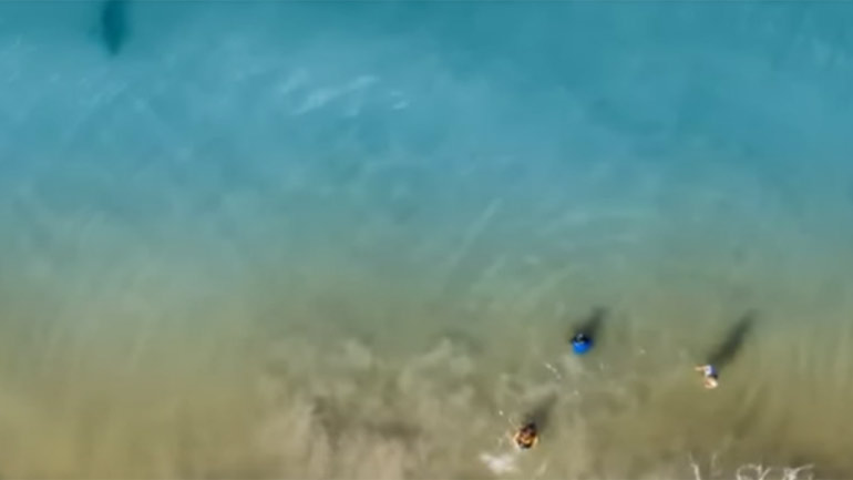 Οικογένεια κολυμπούσε δίπλα σε… καρχαρία! Τι αποκάλυψε το drone