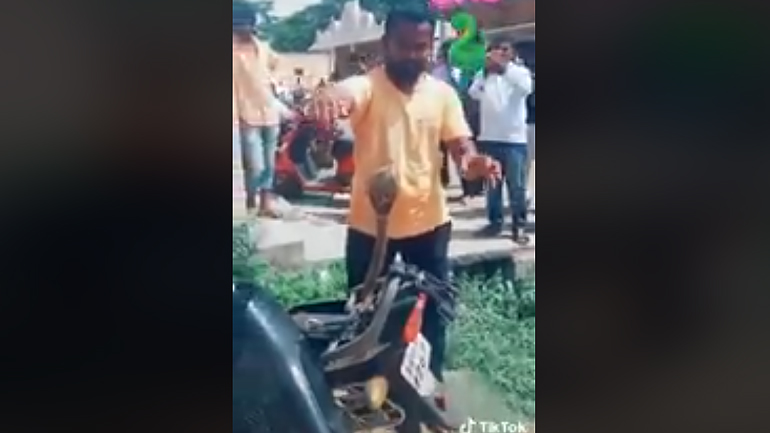 Κάποιος να βγάλει το φίδι από την τρύπα…