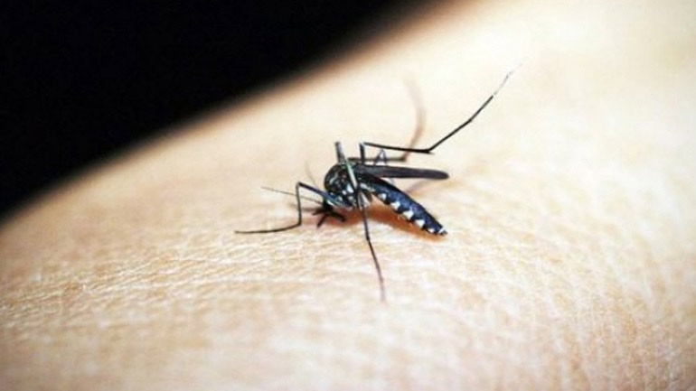 Ιός του Δυτικού Νείλου: Δύο κρούσματα σε Πιερία και Ξάνθη
