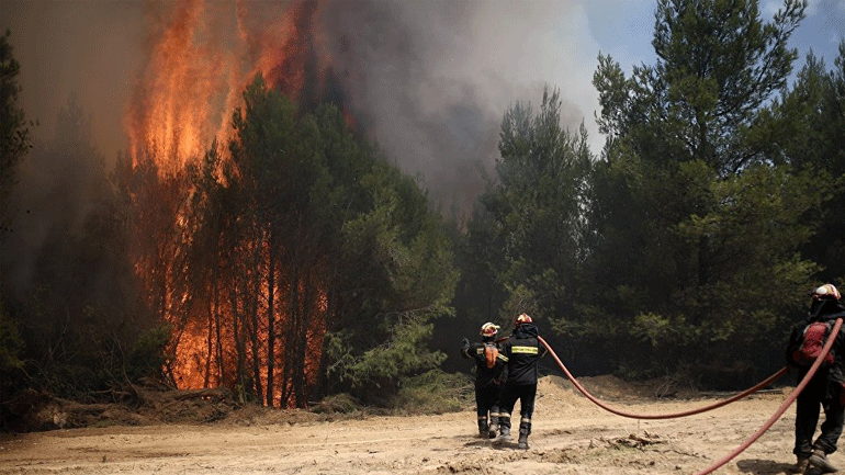 Υπό μερικό έλεγχο η πυρκαγιά στο Καλαμίτσι Λευκάδας