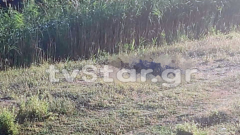 Ορχομενός: 58χρονος βρέθηκε σε κατάσταση σήψης μέσα σε κανάλι με νερό