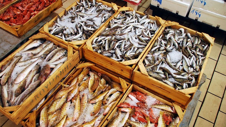 Ηράκλειο: Κατέσχεσαν χιλιάδες γαρίδες και μπακαλιάρους