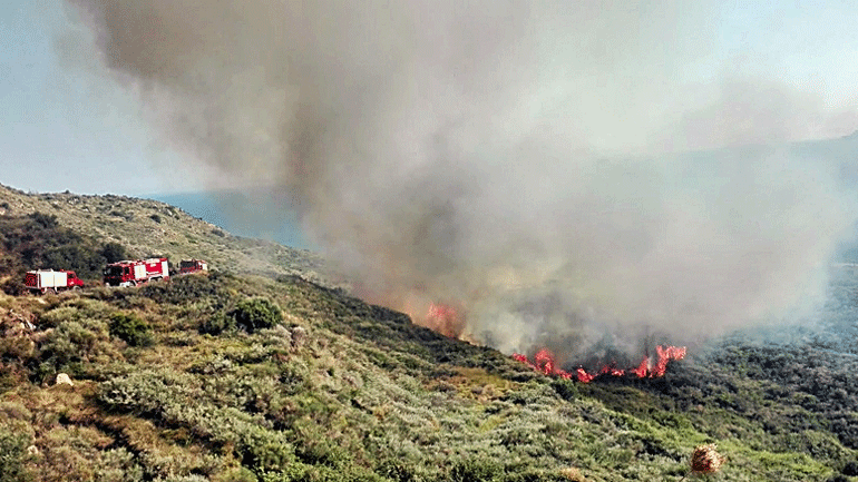 Πυρκαγιά στον Άγιο Κήρυκο Ζακύνθου