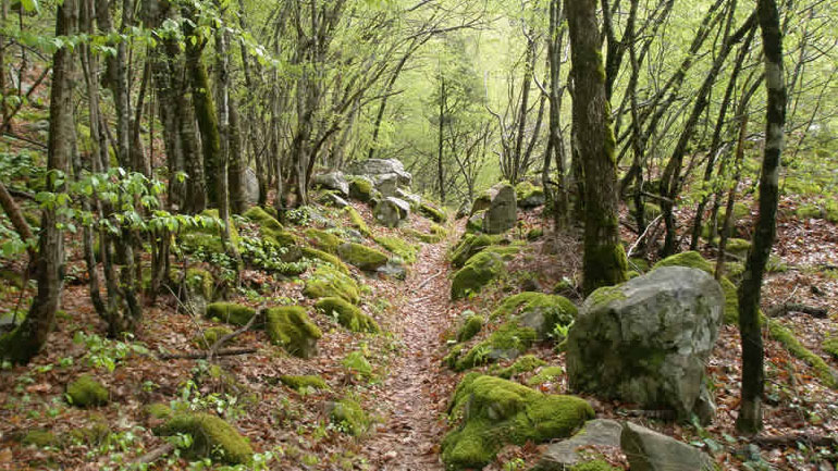 Δράμα: Αίσιο τέλος για πέντε γυναίκες και ένα παιδί που εγκλωβίστηκαν στα ορεινά στο Παρανέστι