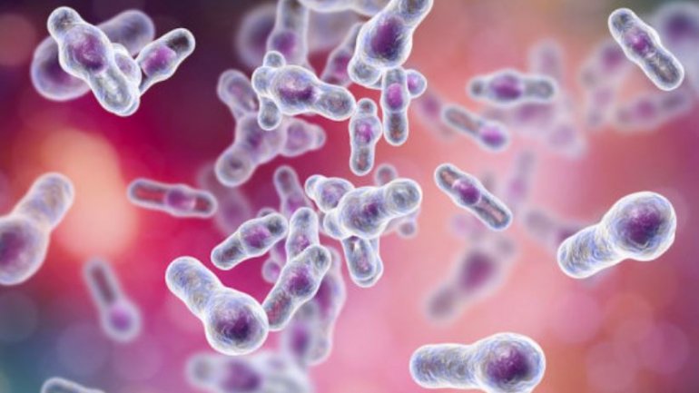 Το βακτήριο C. difficile αντιστέκεται στο νοσοκομειακό απολυμαντικό