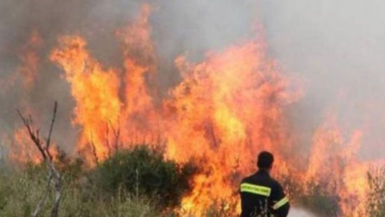 Στις φλόγες δασική έκταση στον Αποκόρωνα