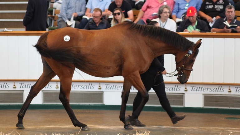 Racing Post: Οι ελληνικές ιπποδρομίες επιστρέφουν από την άβυσσο