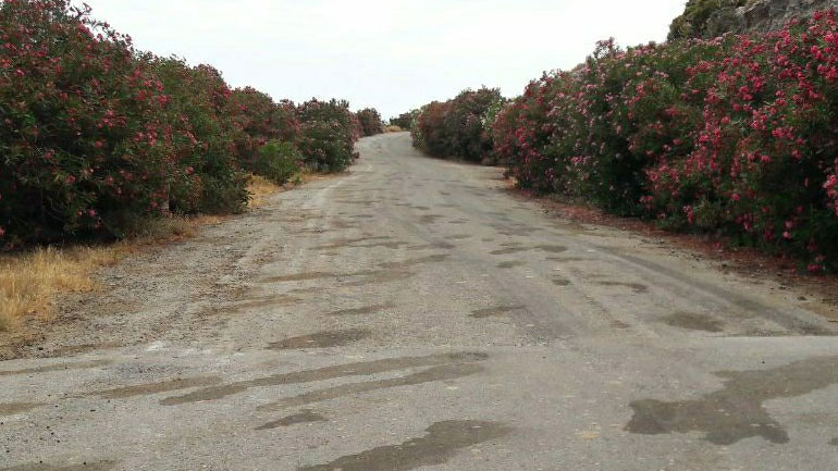 Αυτό είναι το σημείο όπου δολοφονήθηκε η Βρετανίδα βιολόγος