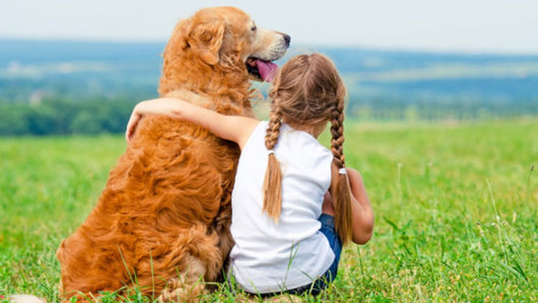 Έξι ράτσες σκύλων ιδανικές για οικογένεια