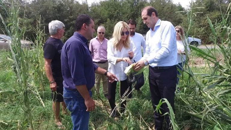 Στις πληγείσες από την κακοκαιρία αγροτικές περιοχές Ημαθίας και Χαλκιδικής η Φ. Αραμπατζή