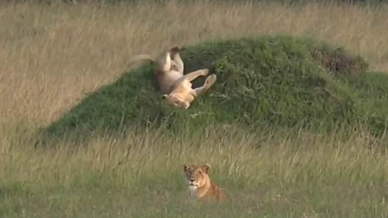 Όταν δεν βλέπουν οι άλλοι…