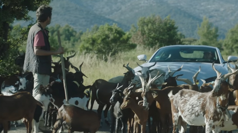 Πιλότος της F1 κόλλησε στον δρόμο λόγω κατσικιών! Πιλότος της F1 κόλλησε στον δρόμο λόγω κατσικιών!